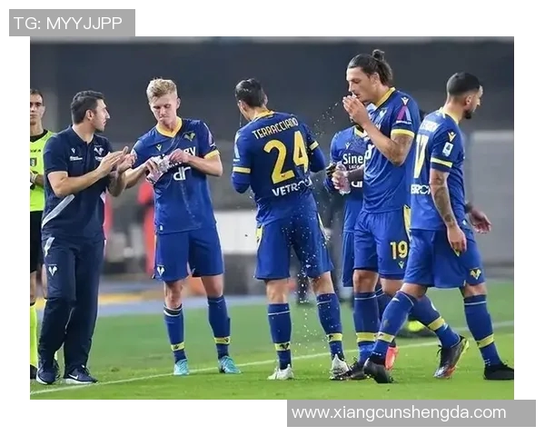 博洛尼亚与维罗纳激战成和比分揭晓精彩瞬间回顾